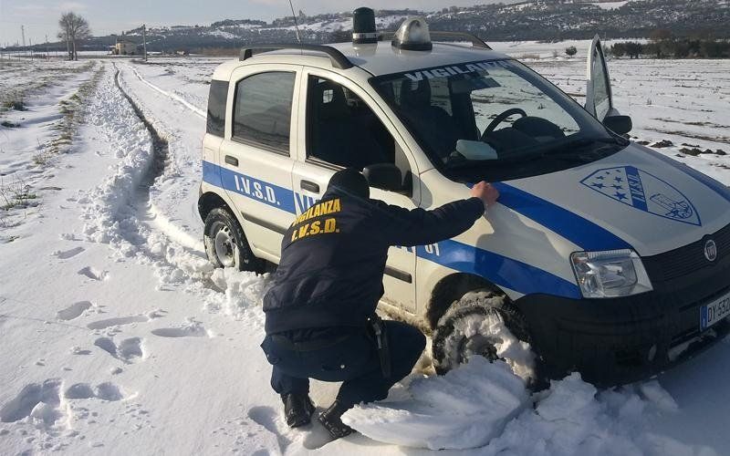 servizi di sicurezza