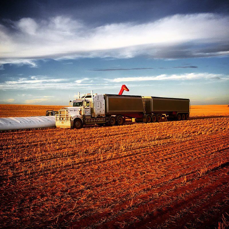 Grain Logistics & Freight - CHS Broadbent