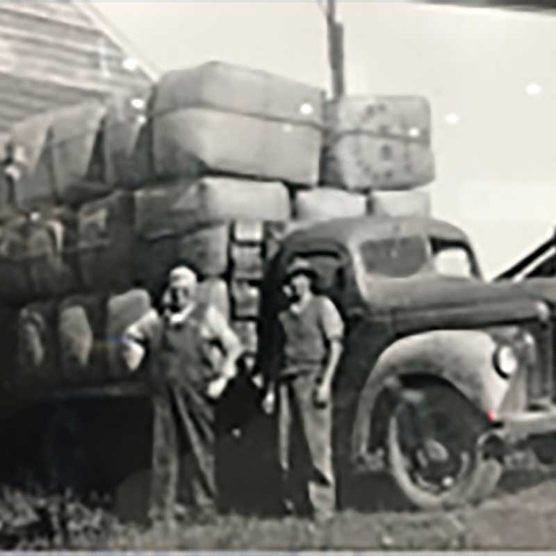 Our History - CHS Broadbent