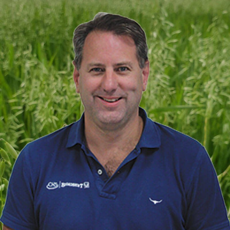 Tim Hayes - Senior Grain Merchant - CHS Broadbent