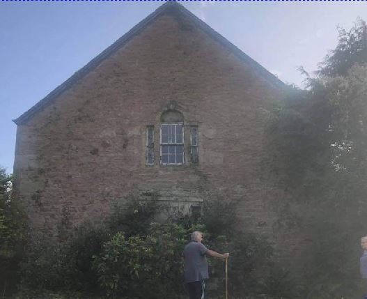 No More Ivy