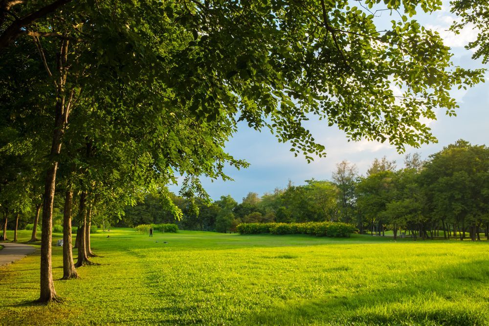 progettazione parchi e giardini