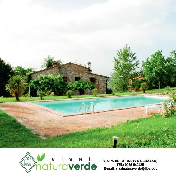 giardino con piscina