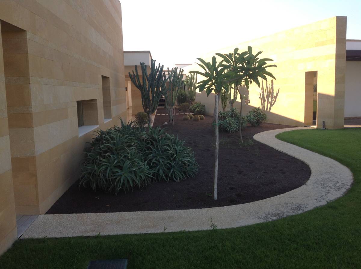 giardini con piante