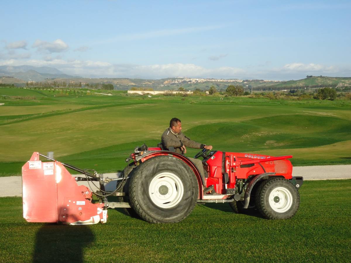 cura del verde su campi da golf