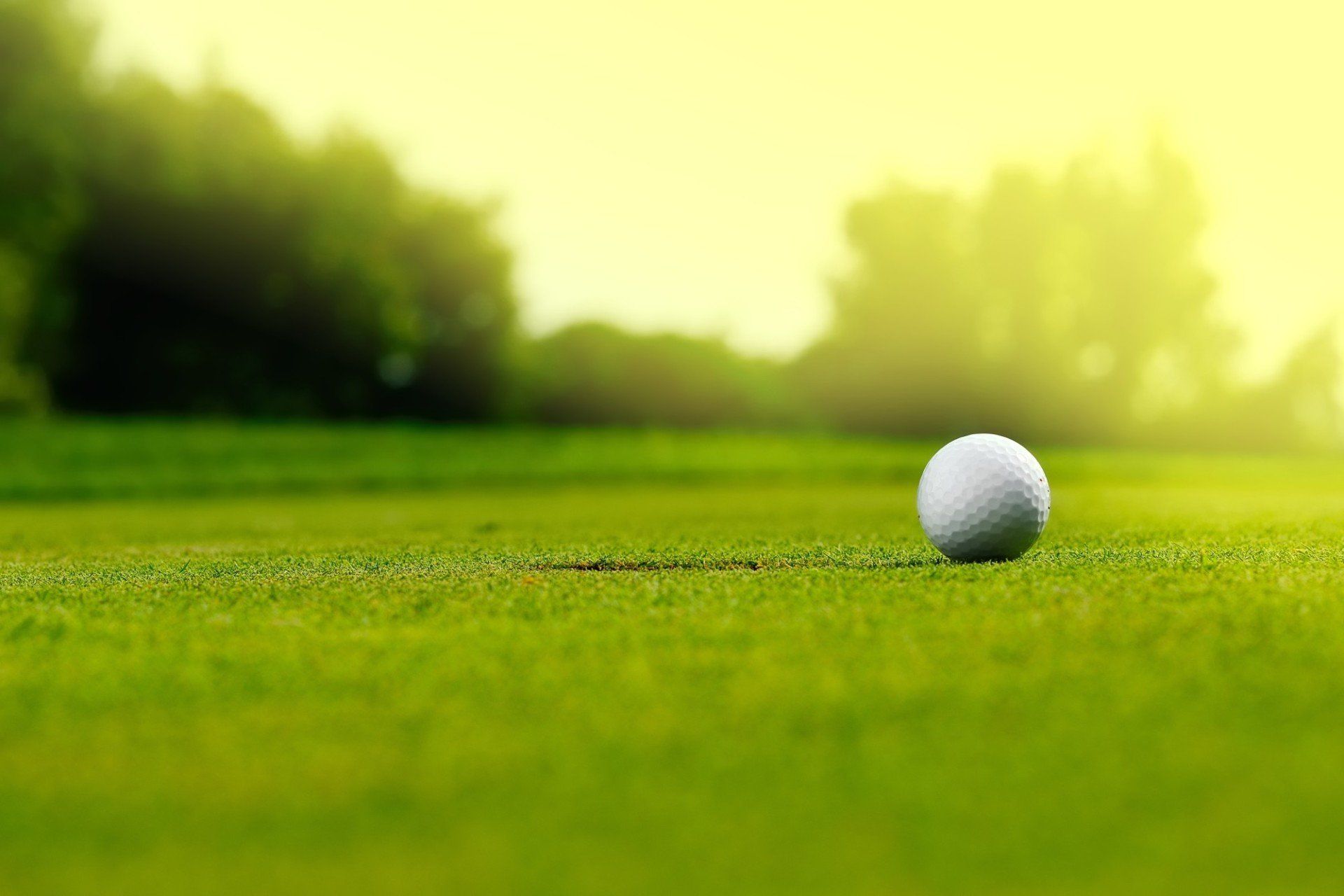 CAMPI DA GOLF