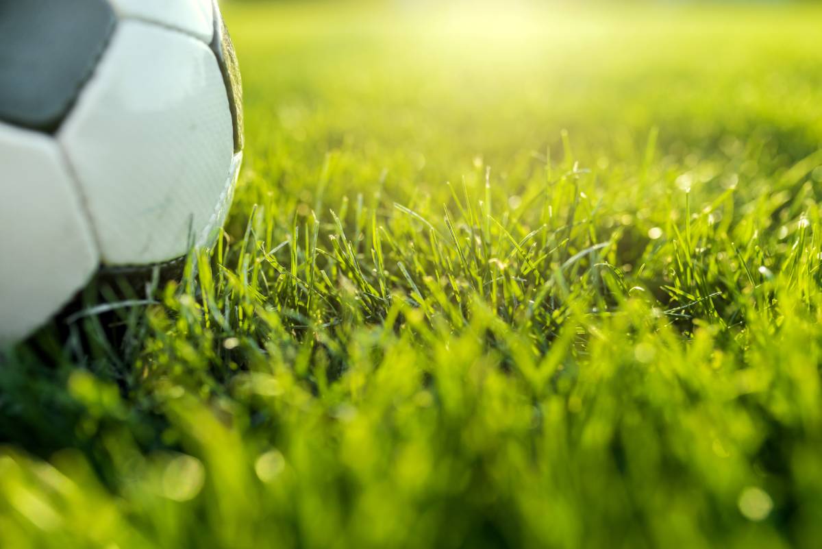 erba per campo da calcio