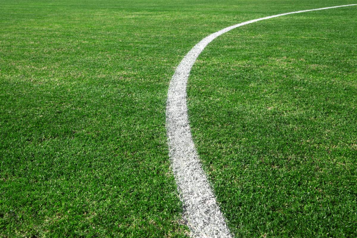 prati per campi da calcio regolamentari