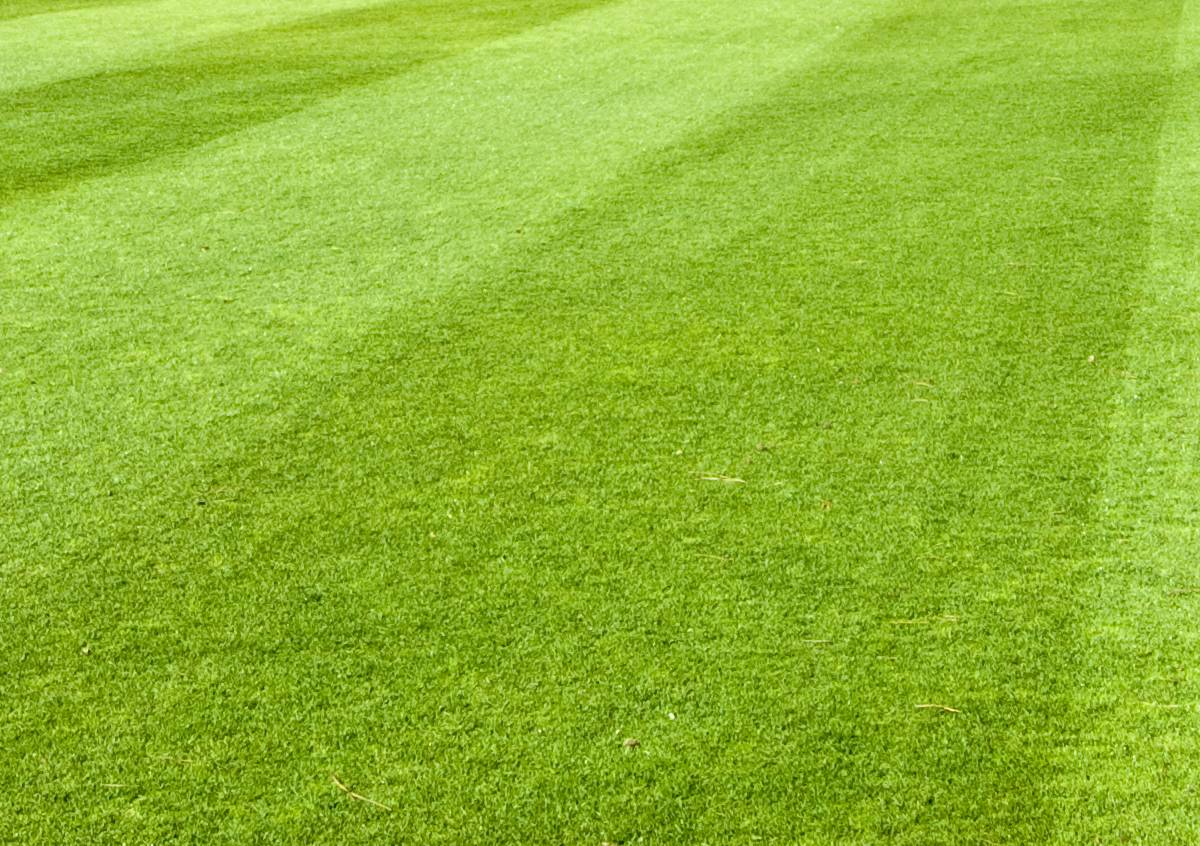 irrigazione campo di calcio