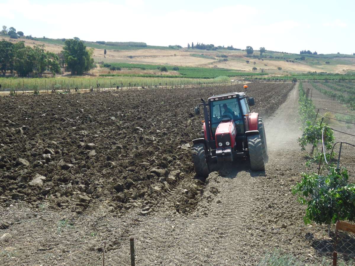 movimentazione del terreno