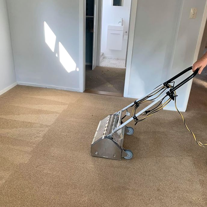 Dry Carpet Cleaning Intensive Carpet Clean