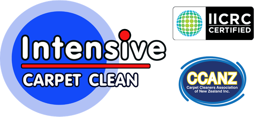 Intensive Carpet Clean Nelson