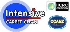 Intensive Carpet Clean Nelson