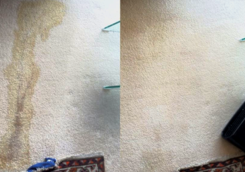 Specialist Stain Removal Intensive Carpet Clean