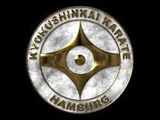Kyokushinkai Karate Hamburg