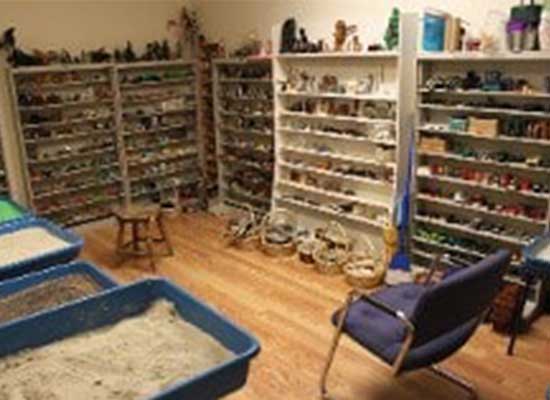 Playroom - christian counseling in Londonderry, NH Playroom - christian counseling in Londonderry, NH