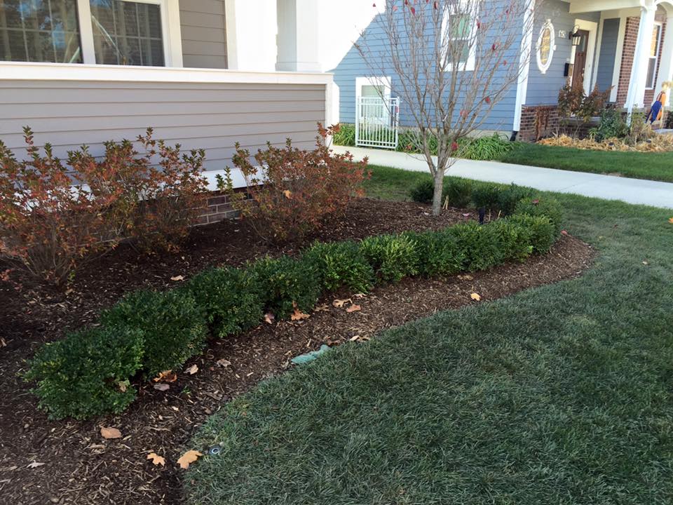 Landscaper — Clean Lawn in Berkley, MI