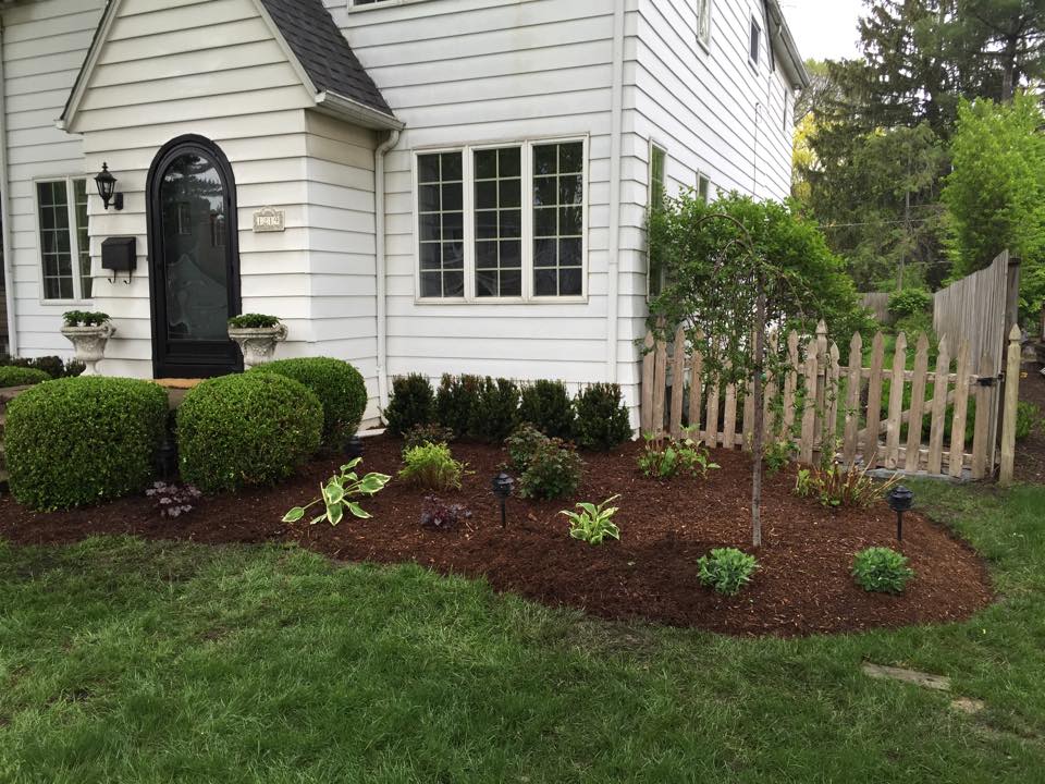 Yard Care — Front Yard in Berkley, MI