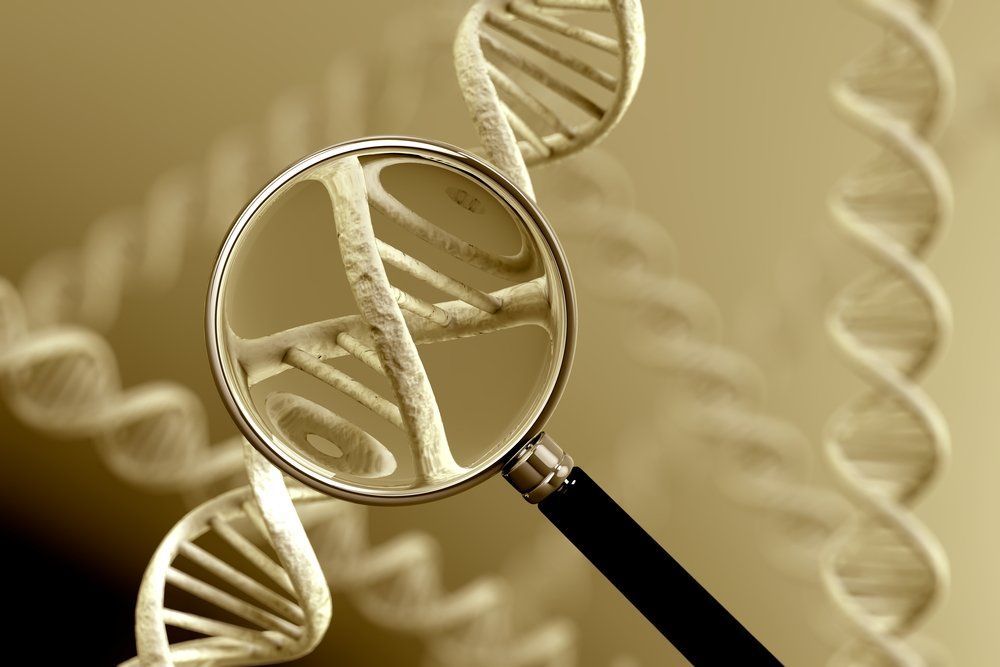 DNA