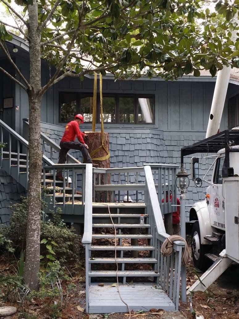 Men Working on Tree — Panama City, FL — Arbor Tree Care