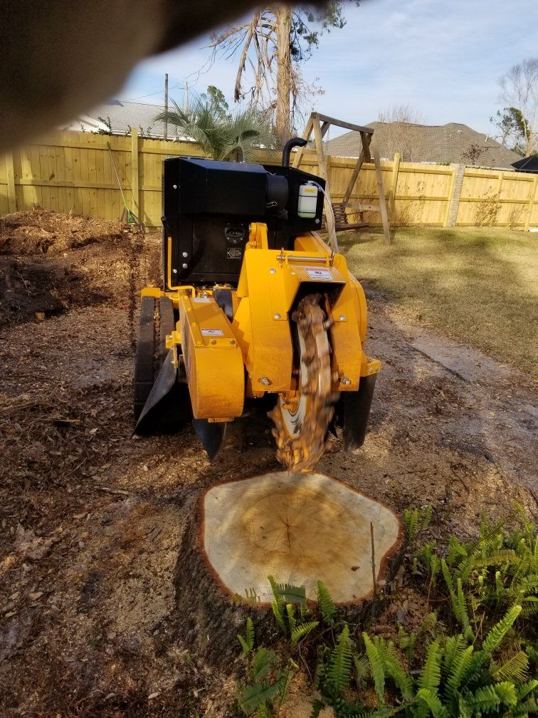 Stump Grinding — Stump Grinder in Panama City, FL Stump Grinding — Stump Grinder in Panama City, FL
