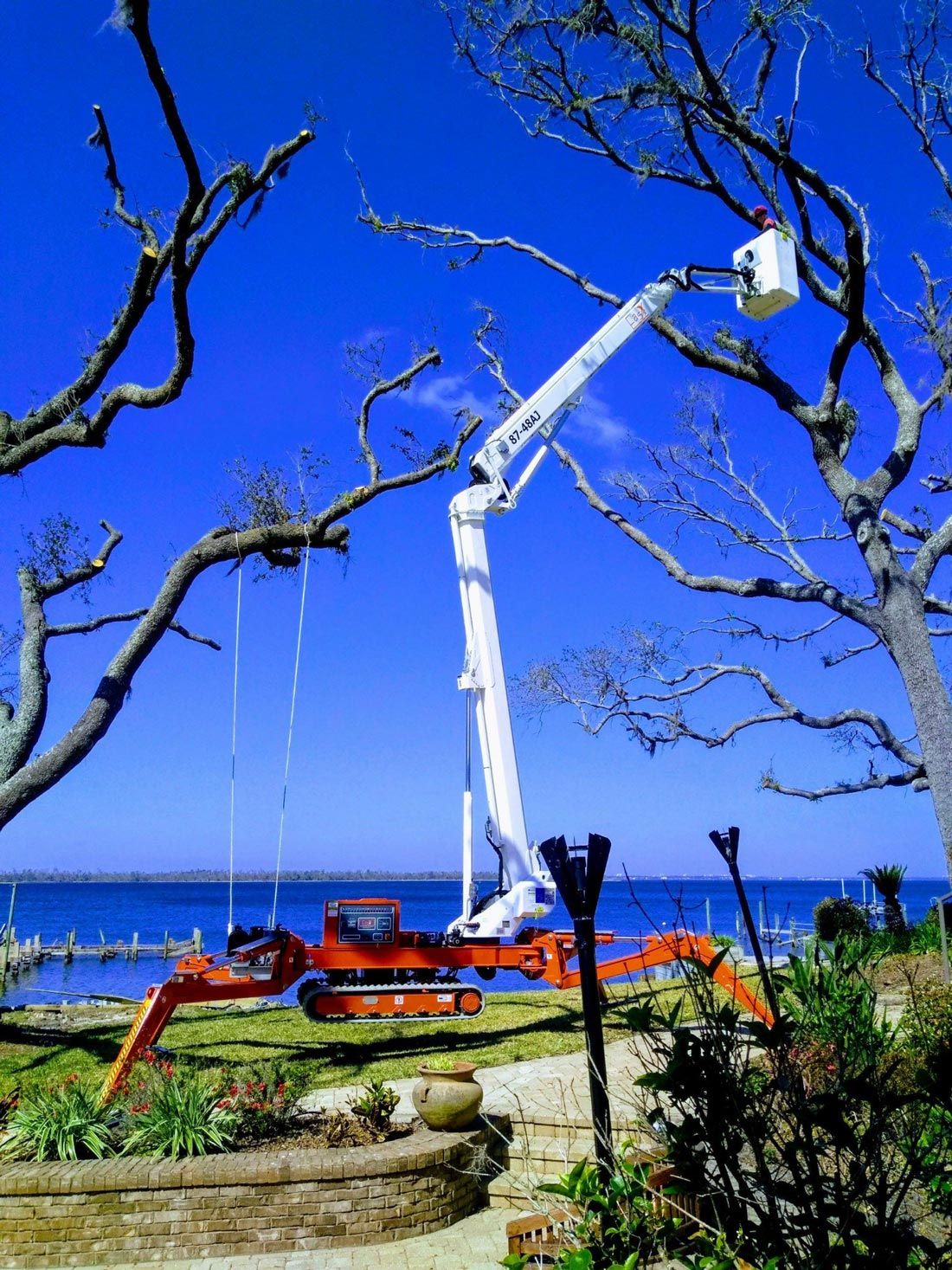 Tree Trimming — Man Cutting a Tree Branch in Panama City, FL Tree Trimming — Man Cutting a Tree Branch in Panama City, FL