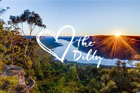 love the dilly
