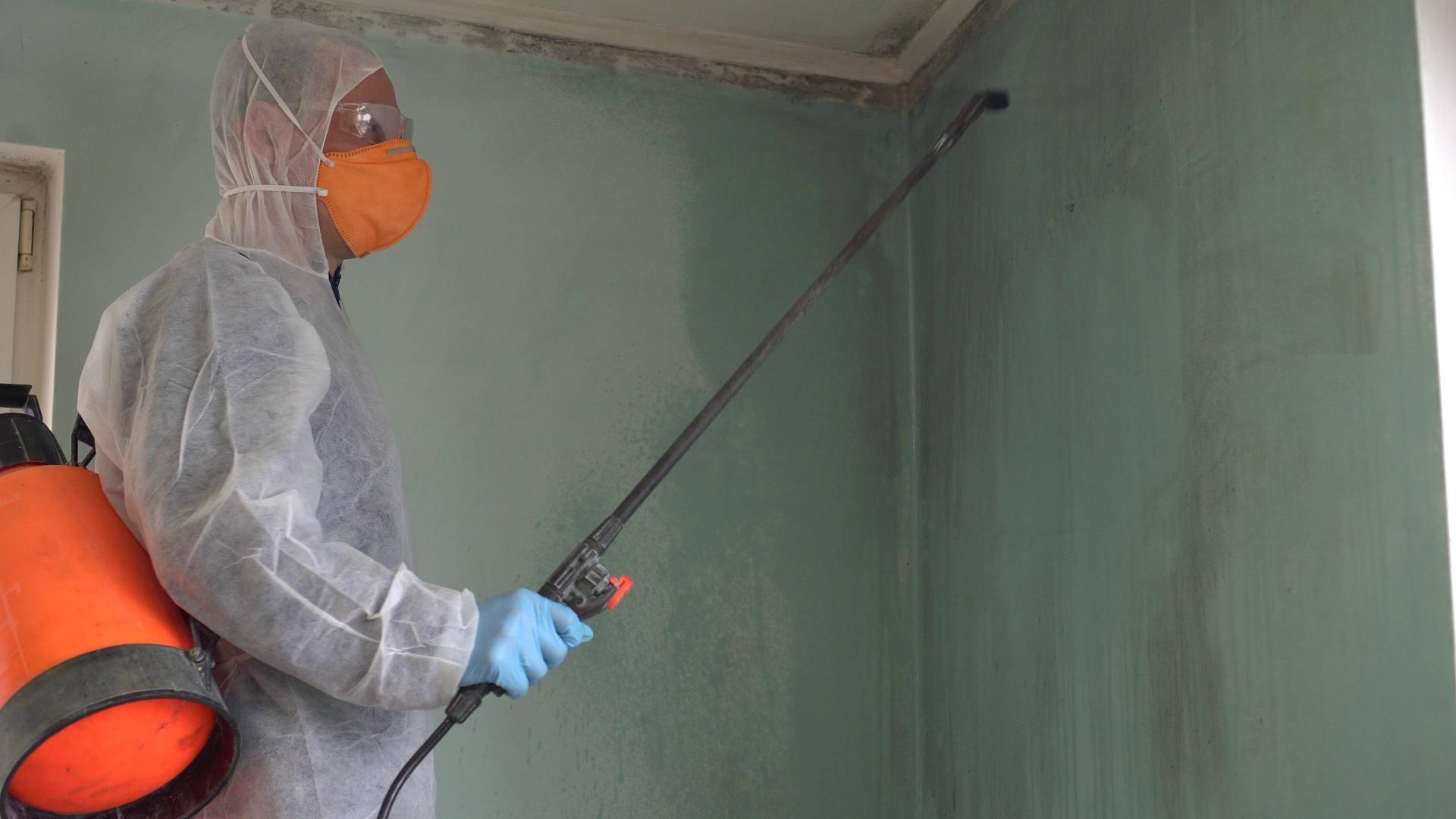 Disinfezione, disinfestazione e derattizzazione