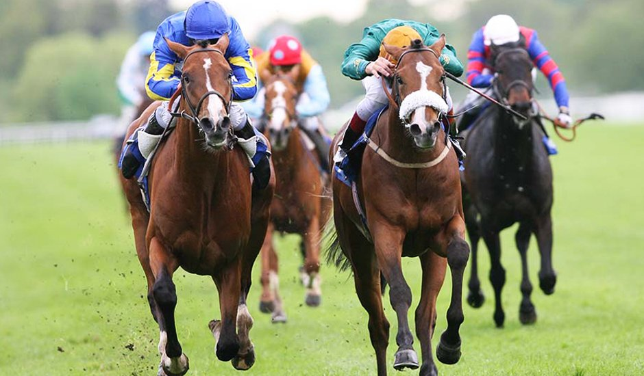 Night of the Races