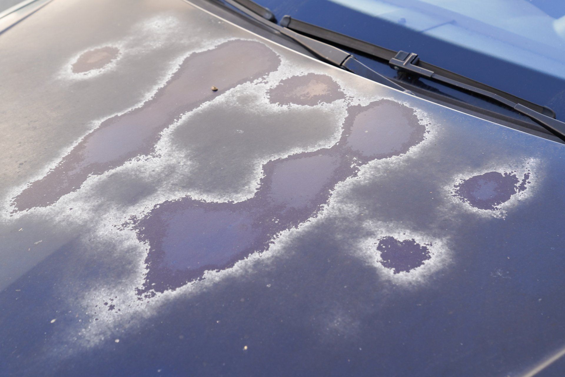 Sun Faded Grunge On Front Of A Car — San Lorenzo, CA — PWT Professional Window Tinting & Car Audio