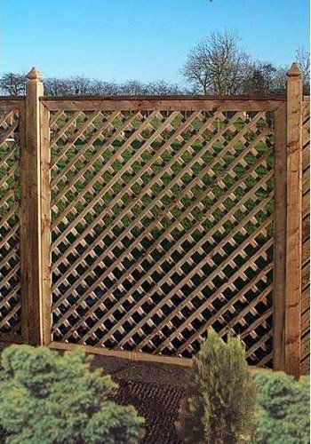 diamond trellis