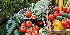 Custom Vegetable Bags