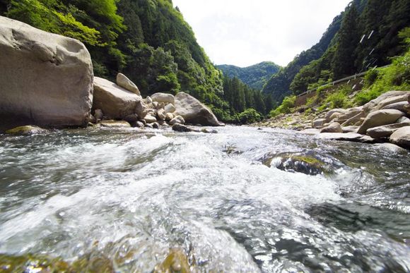 Torrente