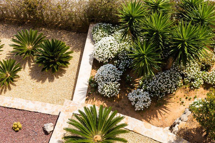 Landscape Design — Tucson, AZ — Arizona Tree and Landscape Service, Inc. Landscape Design — Tucson, AZ — Arizona Tree and Landscape Service, Inc.