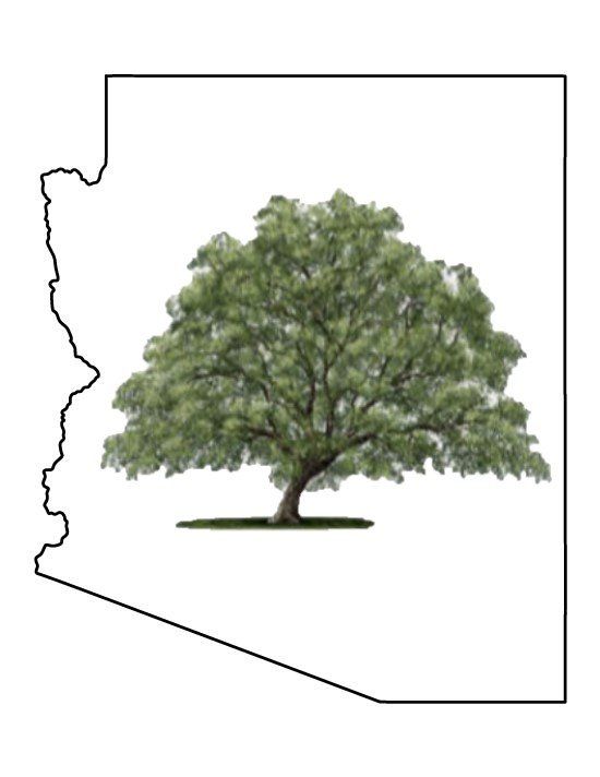 Arizona Tree and Landscape Service, Inc.