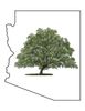 Arizona Tree and Landscape Service, Inc.
