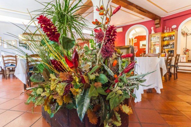 Pianta con fiori