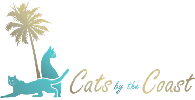 cats by the coast san diego vip cat sitting