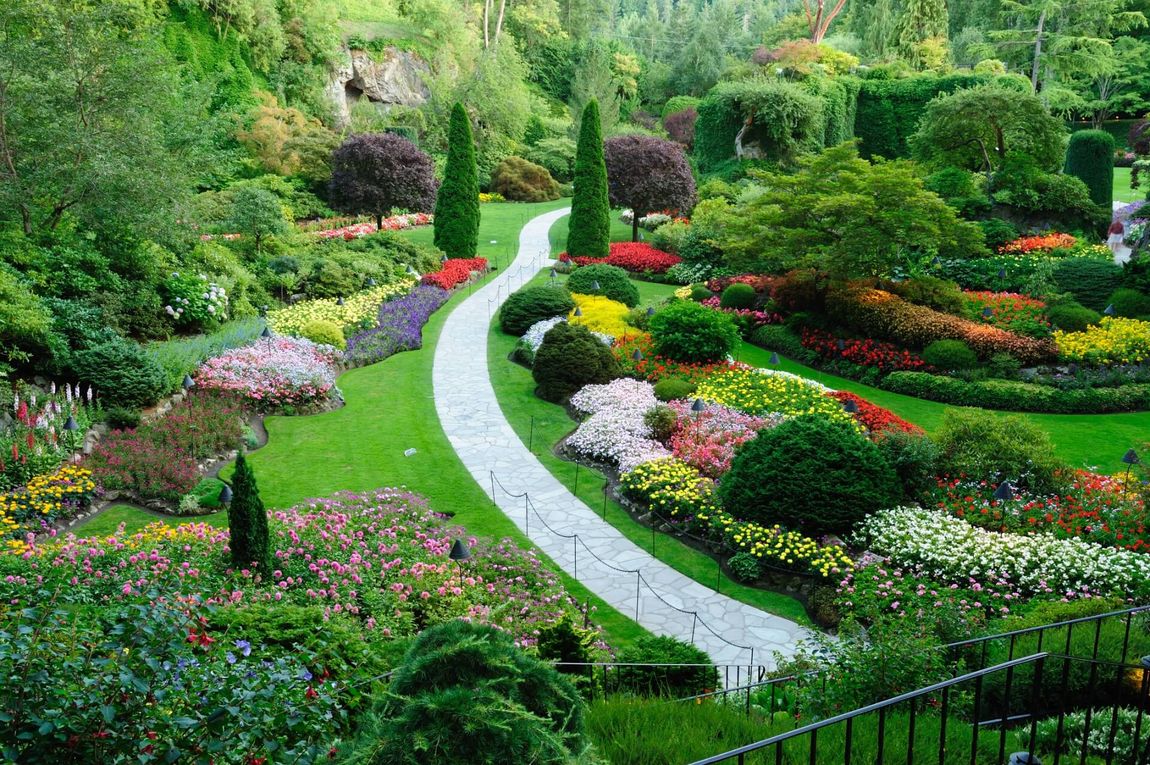 Giardino
