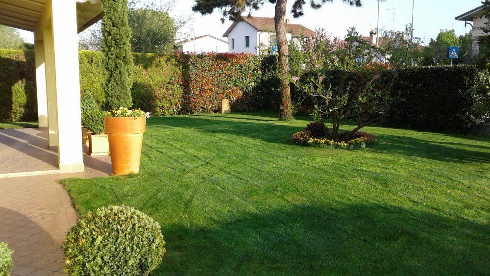 Giardino