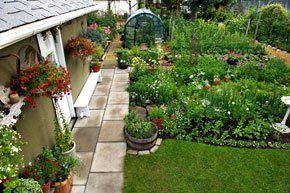 garden landscaping - Loughborough - Ellis Tree and Garden Services - Garden garden landscaping - Loughborough - Ellis Tree and Garden Services - Garden