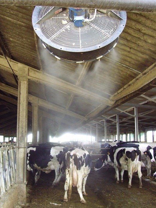 impianto di nebulizzazione per allevamenti