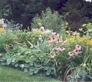 Plants, Landscape Company in Nashua, NH