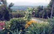 Landscape, Landscape Design in Nashua, NH Landscape, Landscape Design in Nashua, NH