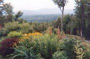 Landscape, Landscape Company in Nashua, NH Landscape, Landscape Company in Nashua, NH