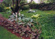 Landscape, Landscape Company in Nashua, NH Landscape, Landscape Company in Nashua, NH