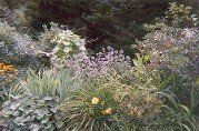 Plants, Landscape Company in Nashua, NH Plants, Landscape Company in Nashua, NH