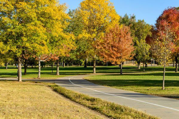 autumn park