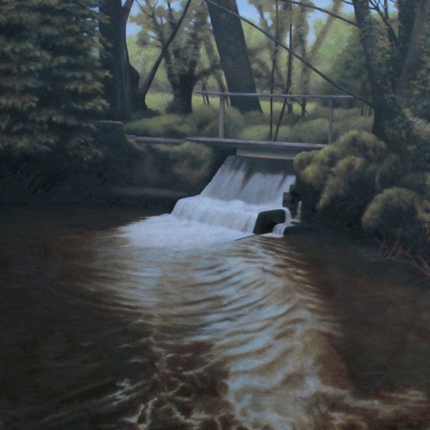 waterfall in forest area
