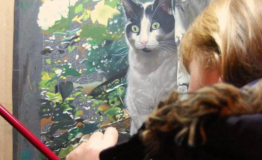 wide eyed cat
